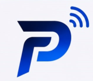 Pals Network Pvt. Ltd. Logo